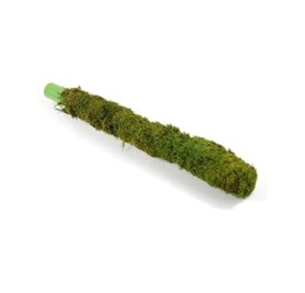 Moss Stick 3F (90cm)